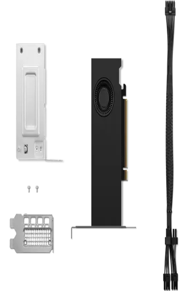 Lenovo NVIDIA RTX 2000 Ada-grafikkort - 4X61P69962