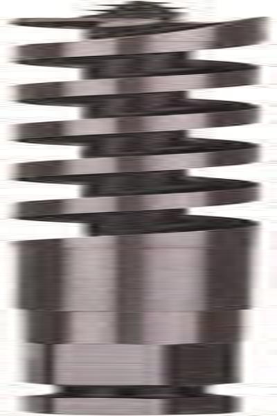Bosch Schlangenbohrer 8 mm GesamtlÃƒÂ¤nge 160 2608585696 Sechskantschaft 1 St