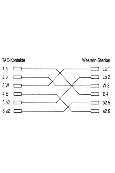 Câble allemand InLine TAE-N / RJ12 6P6C - 6 m