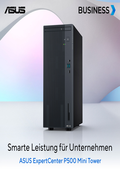 ASUS ExpertCenter P500 Mini Tower P500MV-13420H275X - 90PF05I1-M01F40