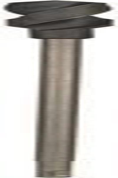 Bosch Schalungsbohrer 28 mm GesamtlÃƒÂ¤nge 600 2608597419 SDS-Plus 1 St