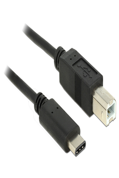 Câble USB Delock - USB-C 24 broches (M) vers USB Type B (M)