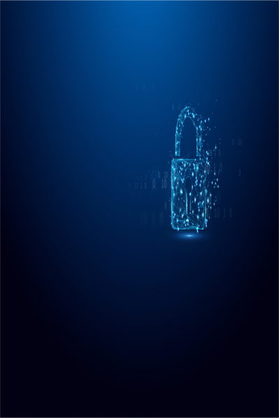 Kingston IronKey Vault Privacy série 50