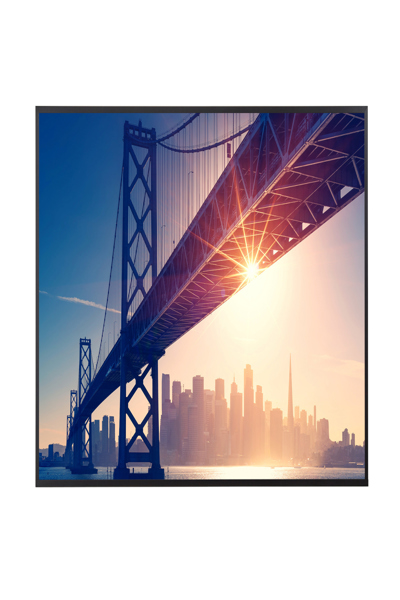 Sharp MultiSync ME652 65" - 60005924