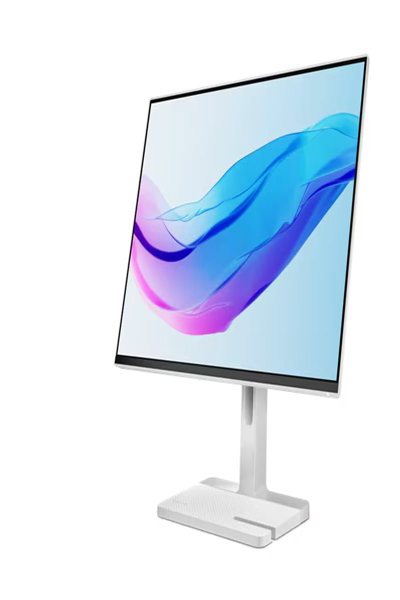 Lenovo L24m-4A 23,8 tums LED-skärm - 67BDUAC6EU