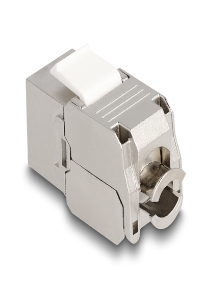 Delock Keystone-jack - CAT 6a - 87856