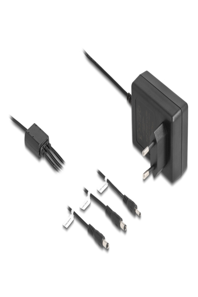 Adaptateur secteur Delock - CA 100-240 V