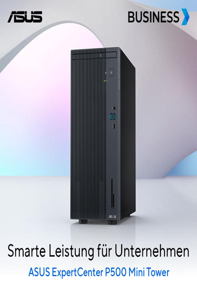 ASUS ExpertCenter P5 C5-210H 16 512 TWR P500MV-05210H124X W11P - 16 GB - 512 GB
