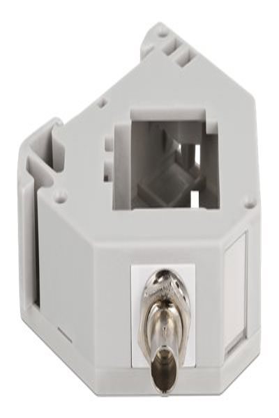 Delock Keystone-jack DIN-skenemonteringsadapter - 87196