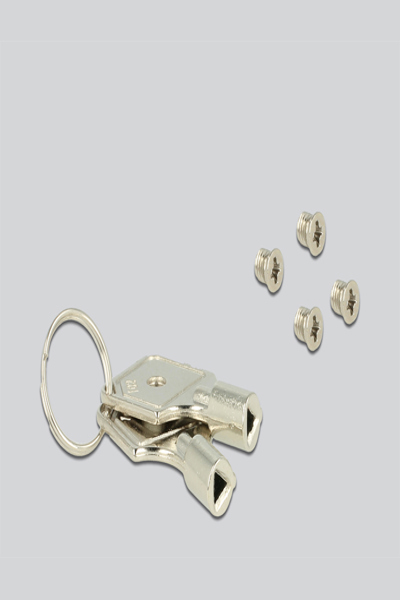 Delock Storage drive carrier (caddy) - 47229