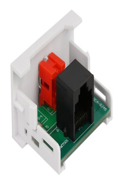 Delock Easy 45 - snap-in modules - 81340
