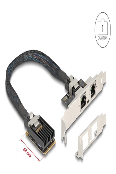 Delock 95280 Mini PCI Express to RJ-45 0.3m - 95280