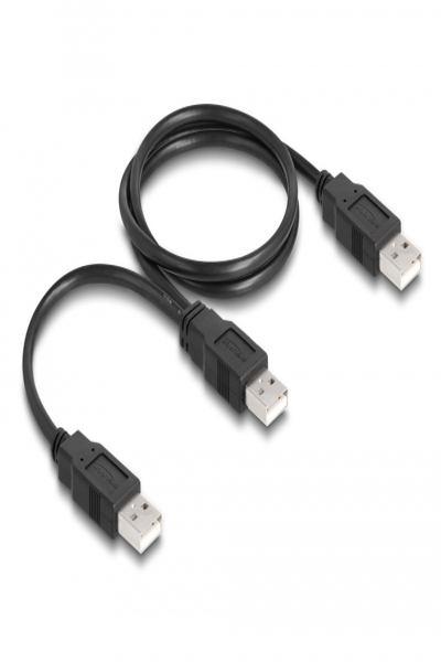 Câble USB Delock - USB (M) vers USB (M)