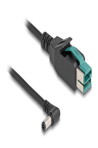 Câble Delock PoweredUSB - USB PlusPower (12 V) (M) vers prise CC 5,5 x 2,5 mm (M) coudée