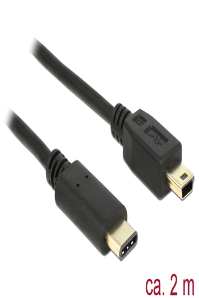 Câble USB Delock - USB-C (M) vers mini-USB Type B (M)