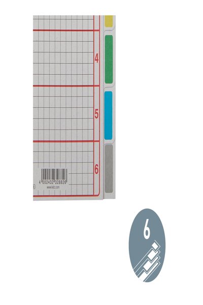 Esselte Leitz Register Blanko A5 Farbtab. 6Bl gr/qm Karton farbig bedruckt - A5