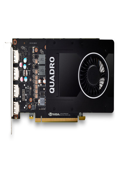 PNY NVIDIA Quadro P2200 - Graphics Card - 5 GB GDDR5X - VCQP2200-PB