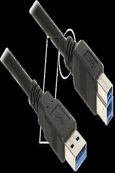 Delock USB cable - USB Type A (M) to USB Type B (M)