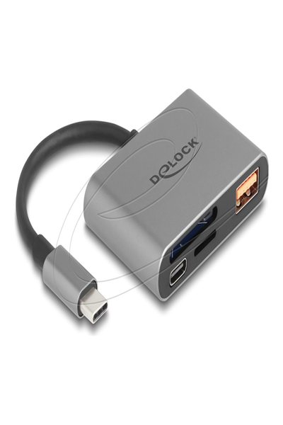 Delock USB-C Card fÃƒÂ¼r SD und Micro Speicherkarten+ USB 10 Gbps - Card-Reader - Secure Digital (SD) - 91016