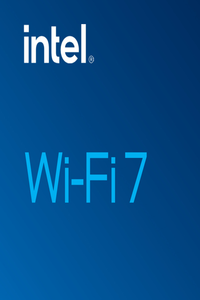 Intel Wi-Fi 7 BE202 - Network adapter - BE202.NGWG.NV