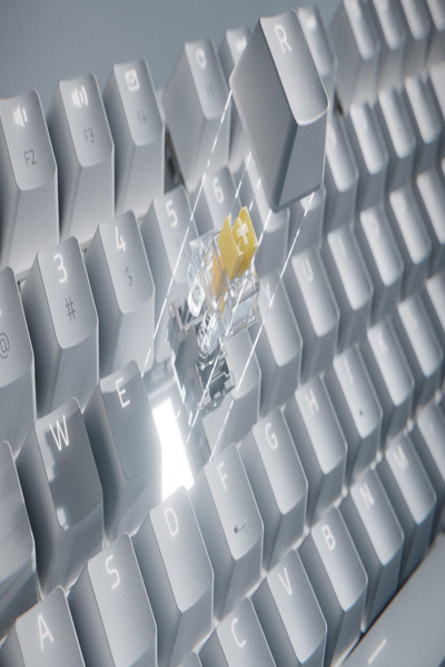 Razer Pro Type Ultra trådbundet/trådlöst mekaniskt tangentbord - RZ03-04110100-R3M1