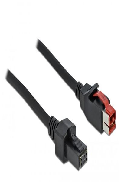 Câble Delock PoweredUSB - USB PlusPower (24 V) (M) vers mini-DIN 4 broches (M)