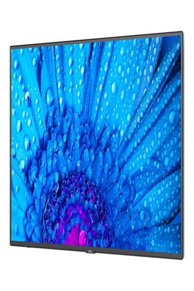NEC Display MultiSync M651 65" LED-backlit LCD display