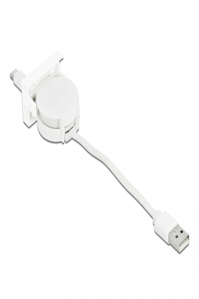 Câble USB Delock - USB (M) vers USB-C (M) 24 broches