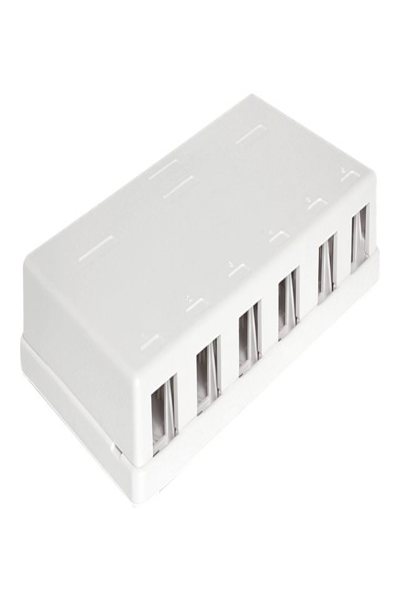 Delock Keystone ytmonterad låda - 86227