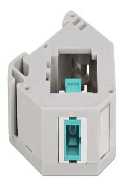 Delock Keystone-jackadapter för DIN-skena - 87173