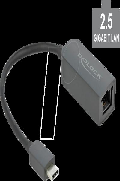 Delock Nätverksadapter - USB-C 3.2 Gen 1 / Thunderbolt 3 - 66645