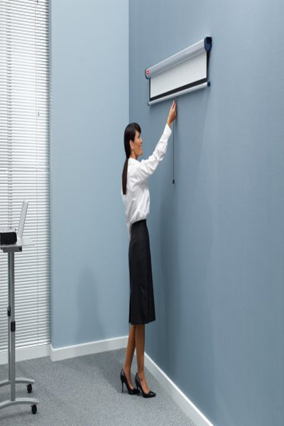 Kensington Wall Mounted Projection Screen 1500x1138mm - 150 cm - 113.8 cm - 4:3 - 1902391