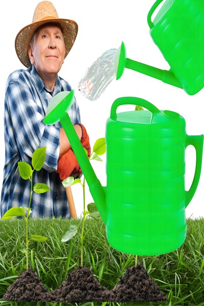 Arrosoir ovale en plastique Forêt-Noire 10 L Extralink 1600