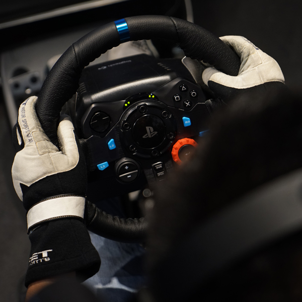 Logitech Driving Force G29 - Wheel and pedals set - 941-000113