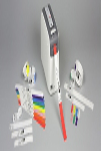 Zebra Z-Band Direct - Polypropylen (PP) - 10006995-1K