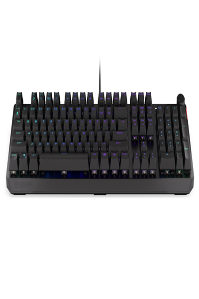 ENDORFY EY5A123, Full-size (100%), Wired, USB, Mechanical, RGB LED, Black