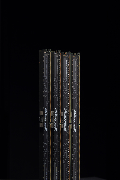 Kingston 6000MT/s ECC Reg CL32 DIMM Kit of 8 FURY Renegade Pro - 128 GB - DDR5 - KF560R32RBEK8-128