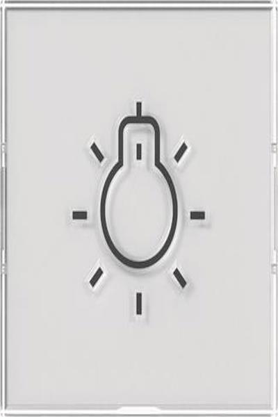 GIRA 321600 Rocker BSF+ Symbols Light Color Neutral