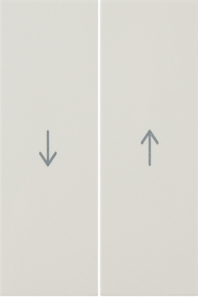 16258982