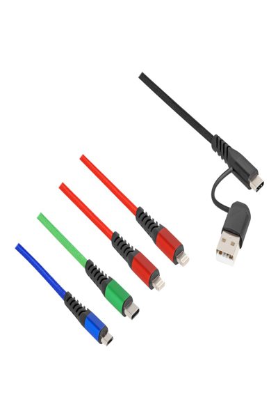 Delock 4 en 1 - Câble de charge uniquement