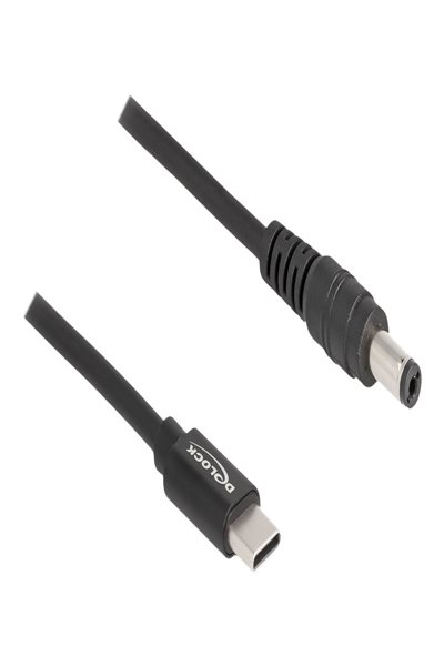 Delock Power cable - 24 pin USB-C (M) to DC jack 5.5 x 2.1 mm (M) - 87977