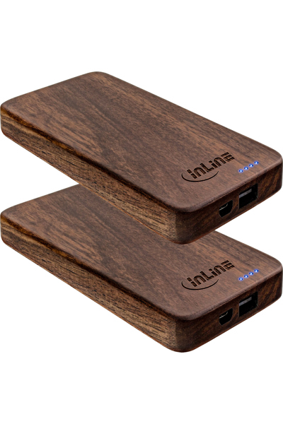 Batterie externe USB InLine 2 pièces 5 000 mAh avec écran LED