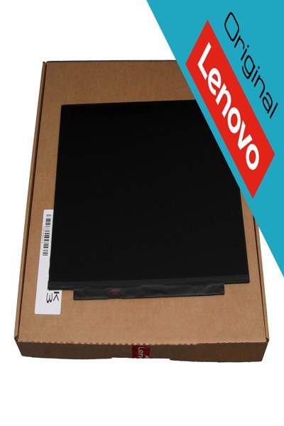 Lenovo SD10Z34968 IPS 1920x1080 Matte Slim Display Screen
