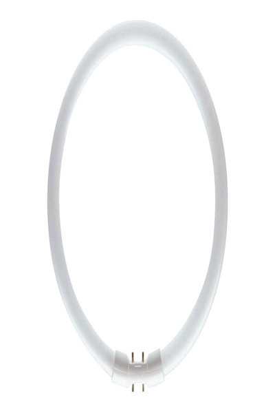 Philips MASTER TL5 22.3W 2GX13 Circular - 64095625