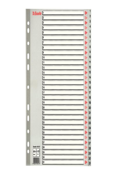 Esselte Leitz Register A4 blanko 20teilig grau PP-Folie