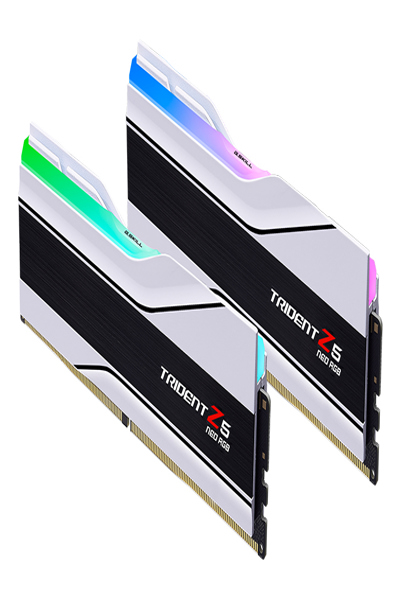 G.Skill DIMM 48GB DDR5-6000 Dual-Kit White AMD EXPO - F5-6000J2636H24GX2-TZ5NRW