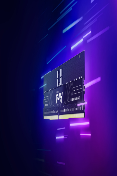 Kingston FURY Renegade Pro - DDR5 - KF556R28RBEK4-64