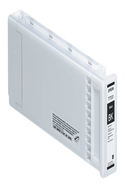 C13T713100