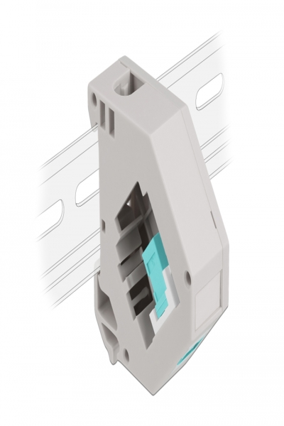 Delock Keystone-jackadapter för DIN-skena - 87173