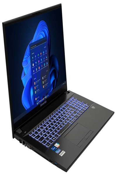 bluechip TRAVELline B17W27 Intel Core i5-1335U Prozessor bis zu - Core i5 - 4.6 GHz